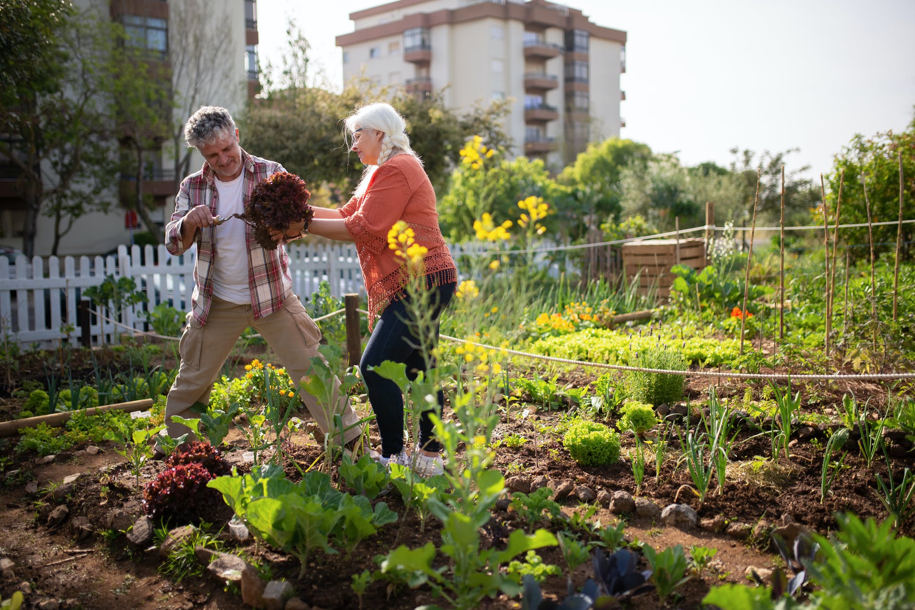 a couple in a vegetable garden